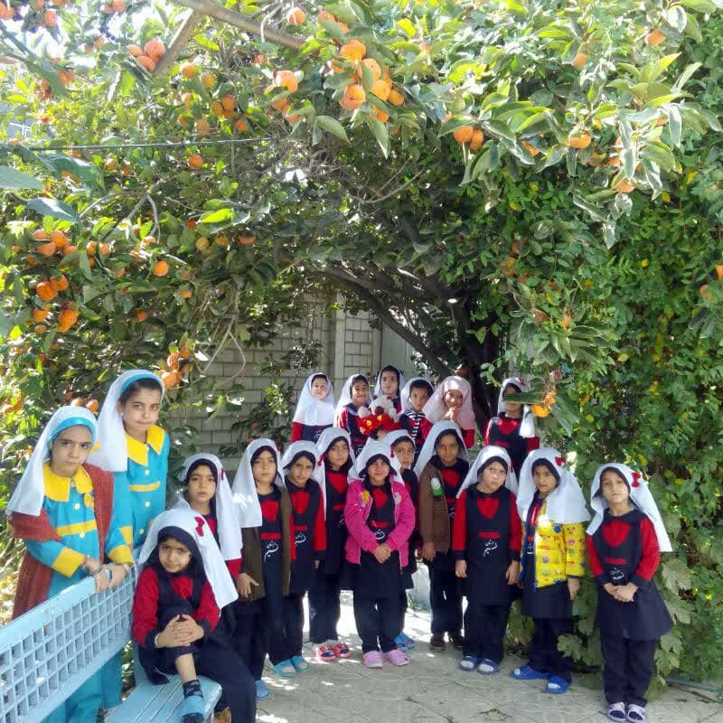 تصویر مقاله